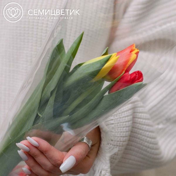 Букет из 3 тюльпанов микс 40 см в пленке