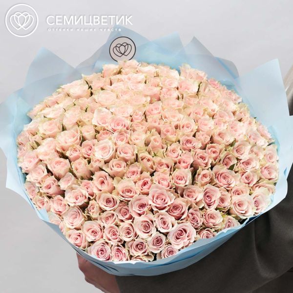 Букет из 151 нежно-розовой розы 40 см (Кения)
