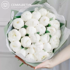 Букет из 25 белых пионов Premium в зеленой пленке
