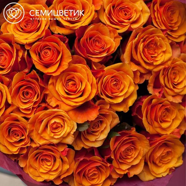Букет из 25 желто-оранжевых роз 50 см (Россия)