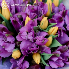 Букет из 16 желтых тюльпанов 40 см и 7 альстромерий в фиолетовых тонах в голубой пленке