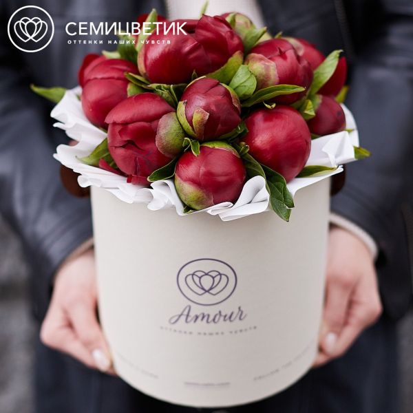 Букет в белой шляпной коробке Amour Mini из 15 бордовых пионов Premium