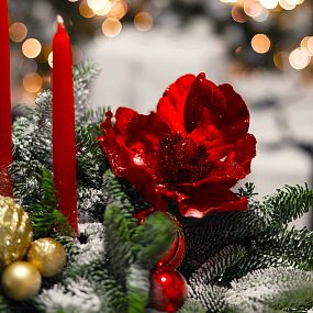 Новогодняя композиция с красными цветами