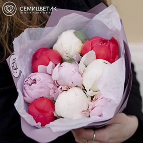 Букет из 9 пионов Premium микс
