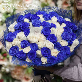 Букет из 71 белой и синей розы 60 см (Эквадор) в упаковке