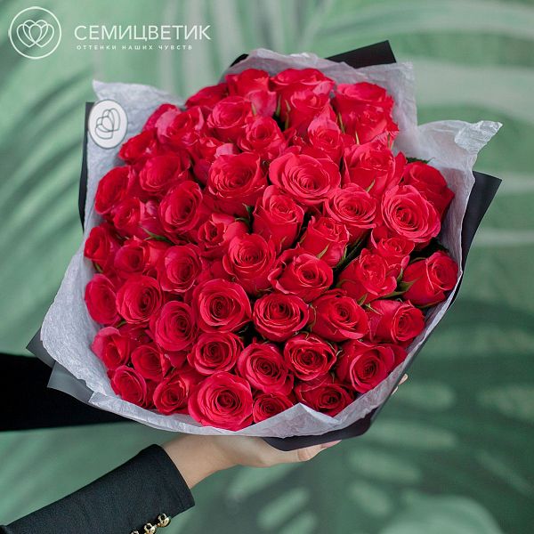 51 малиновая роза (Кения) 40 см Premium