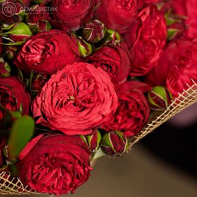 Букет из 51 красной кустовой пионовидной розы Red Piano 40 см с зеленью