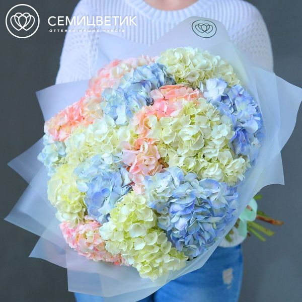 Букет из 15 гортензий нежный микс