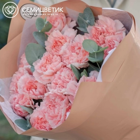 Букет из 15 розовых гвоздик с эвкалиптом в кремовой пленке