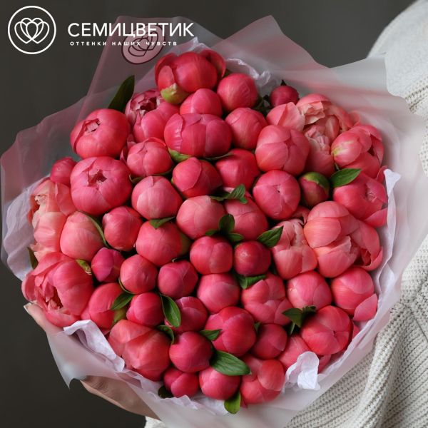 Букет из 51 кораллового пиона Coral Sunset Premium