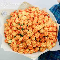 Букет из 151 оранжевой розы (Кения) 40 см Standart