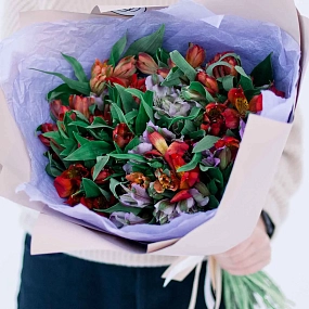 Монобукет  из 25 альстромерий в красных и фиолетовых тонах в розовой пленке