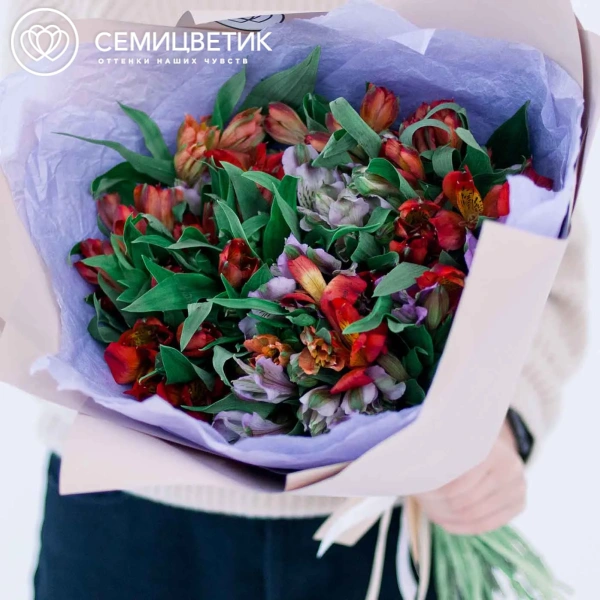 Букет из 25 альстромерий в красных и фиолетовых тонах в розовой пленке