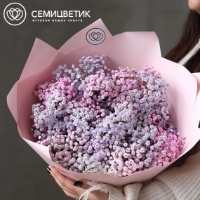 Букет из 11 сиреневых и розовых гипсофил