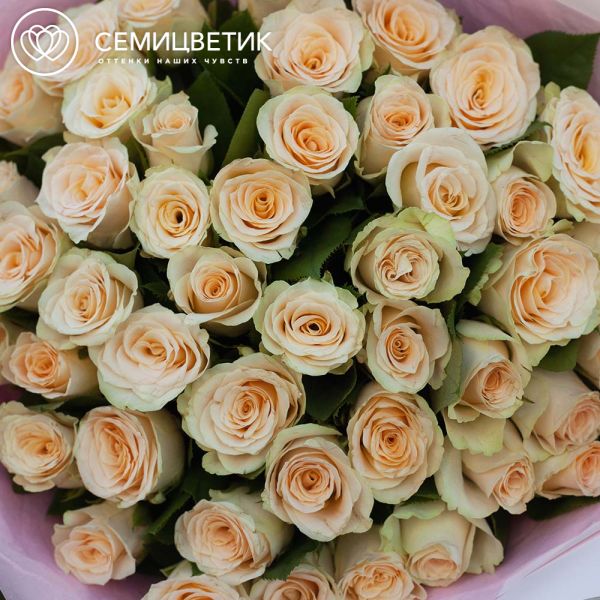 Букет из 45 кремовых роз 40 см (Кения) в розовой пленке