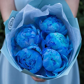 Букет из 5 синих пионов Premium