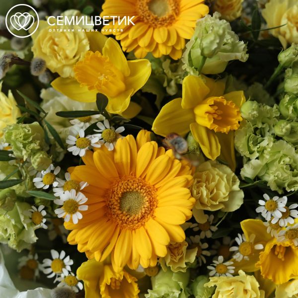 Круглый пасхальный букет с матрикарией и нарциссами в упаковке