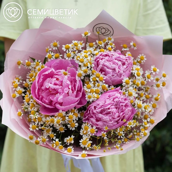 Букет из 3 розовых пионов Standart Plus и матрикарии в розовой пленке