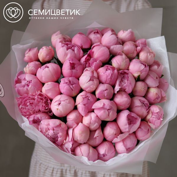 Букет из 51 нежно-розового пиона Angel Cheeks Premium