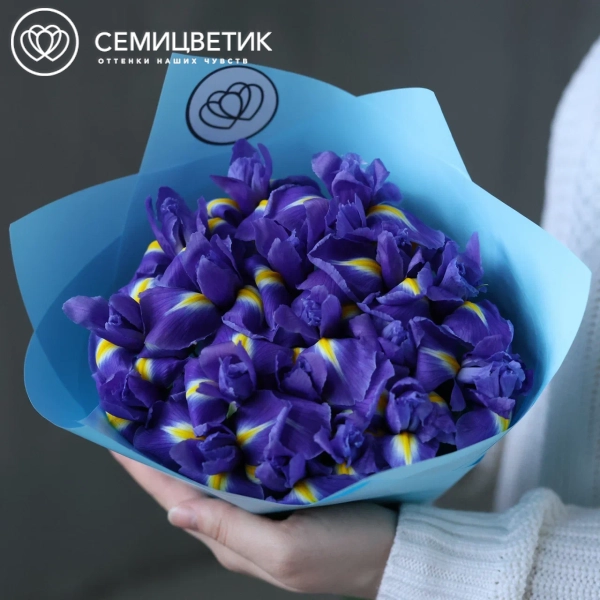 Букет из 19 синих ирисов
