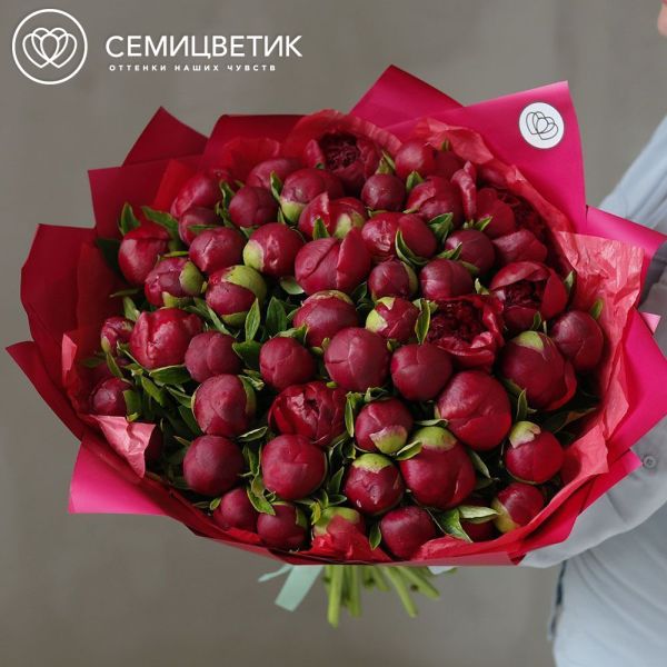 Букет из 51 бордового пиона Premium