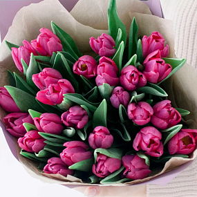 Букет из 25 малиновых тюльпанов в сиреневой пленке