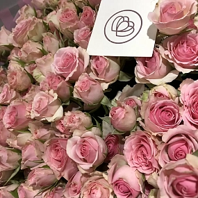 Букет из 51 розовой кустовой розы 40 см (Кения) в сиреневой пленке