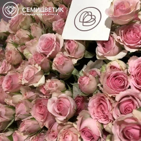 Букет из 51 розовой кустовой розы 40 см (Кения) в сиреневой пленке
