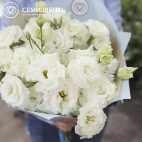 Букет из 15 белых махровых лизиантусов в голубой пленке