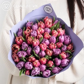 Букет из 51 розового и сиреневого пионовидного тюльпана
