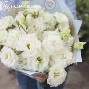 Букет из 15 белых махровых лизиантусов в голубой пленке