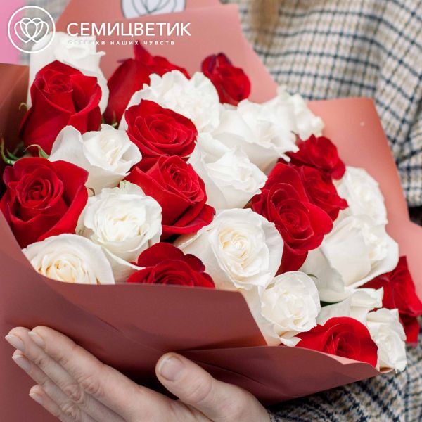 Букет из 25 белых и красных роз (Эквадор) 50 см в розовой пленке