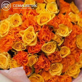 Букет из 51 оранжевой и желтой розы 35-40 см (Россия) в кремовой пленке