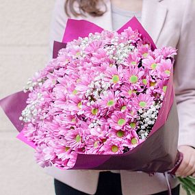 Букет из 25 розовых кустовых хризантем с гипсофилой