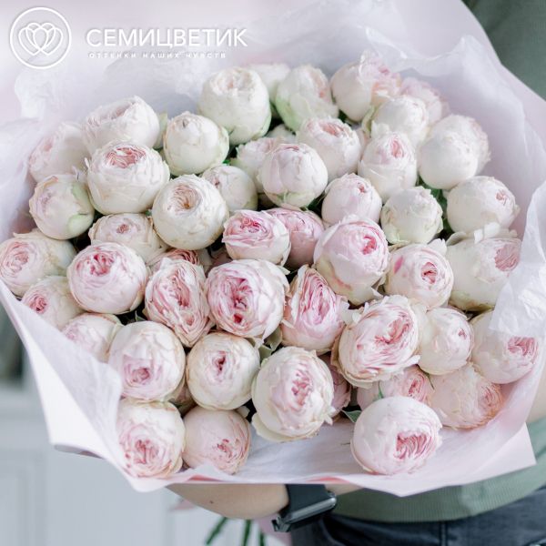 Букет из 15 нежно-розовых кустовых пионовидных роз Mansfield Park 50 см (Эквадор)