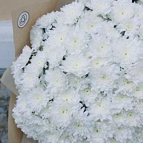 Букет из 51 белой кустовой хризантемы