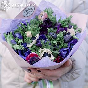 Букет из 25 анемонов микс
