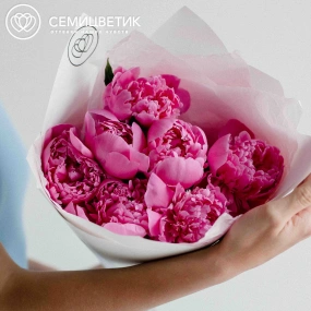 Букет из 7 ярко-розовых пионов Standart Plus в белой пленке