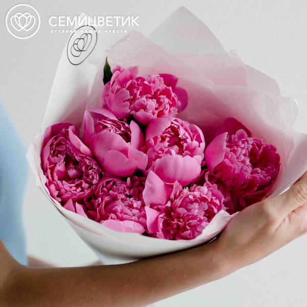 Букет из 7 ярко-розовых пионов Standart Plus в белой пленке