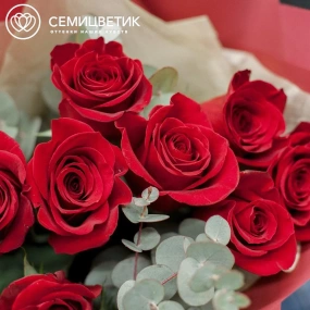 Букет из 9 красных роз Freedom 50 см (Эквадор) с эвкалиптом в бордовой пленке