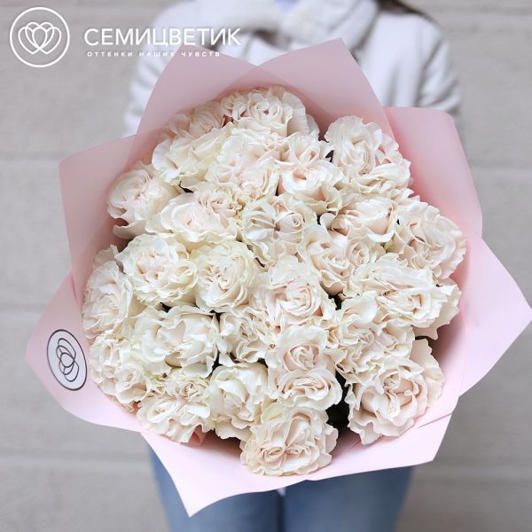 Букет из 25 нежно-розовых пионовидных роз Cotton-Expression (Эквадор) 50 см в розовой упаковке