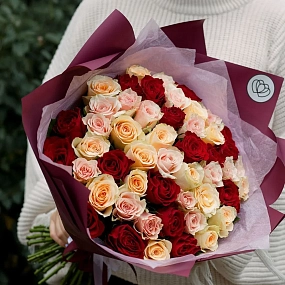 Букет из 51 кремовой, нежно-розовой и красной розы 35-40 см (Кения) в голубой пленке