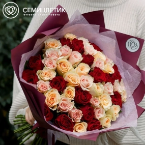 Букет из 51 кремовой, нежно-розовой и красной розы 35-40 см (Кения) в голубой пленке