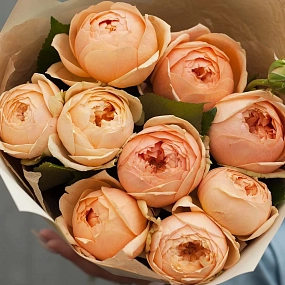 Букет из 9 кремовых пионовидных роз 60 см (Россия) в кремовой пленке