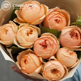 Букет из 9 кремовых пионовидных роз 60 см (Россия) в кремовой пленке