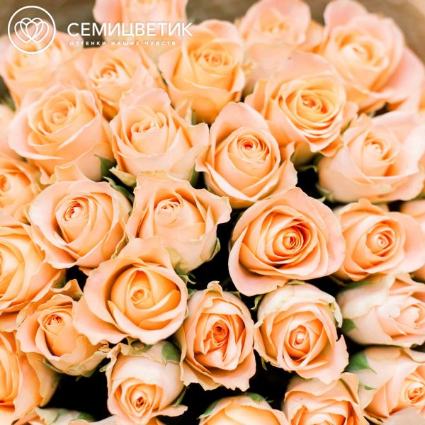 Букет из 35 персиковых роз 40 см (Кения)