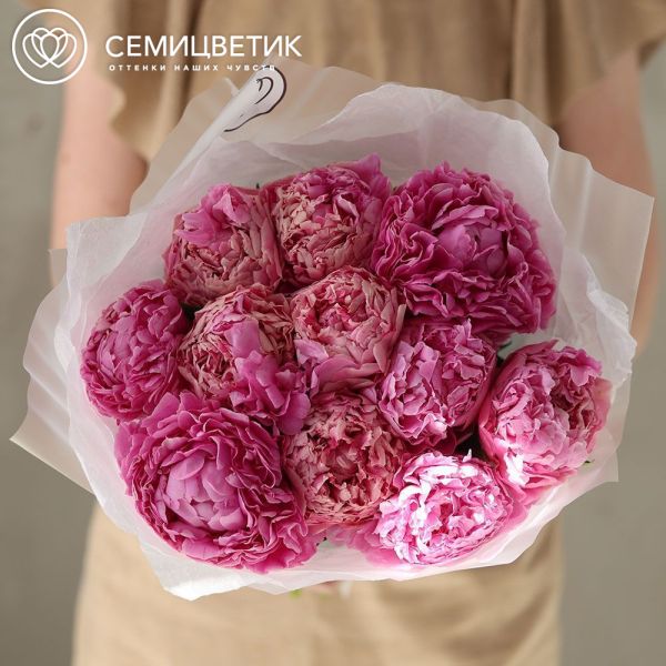 Букет из 11 розовых пионов Bernadette Premium в прозрачной упаковке