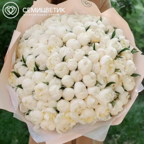 Букет из 101 белого пиона Premium в кремовой пленке