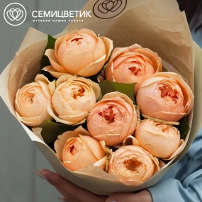 Букет из 9 кремовых пионовидных роз 60 см (Россия) в кремовой пленке