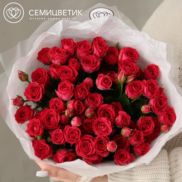 Букет из 15 малиновых кустовых роз 40-50 см (Россия)